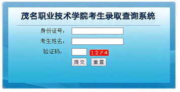 學考錄取結果陸續揭曉，信息技術咨詢服務助力考生把握未來